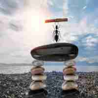 php使﻿用​什​么​开‌发​工﻿具‌